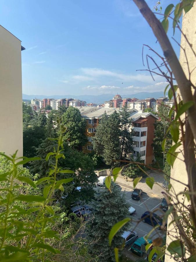 Family Apartment Ivanovic Skopje Luaran gambar